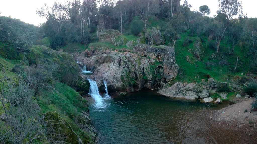 Foto naturaleza